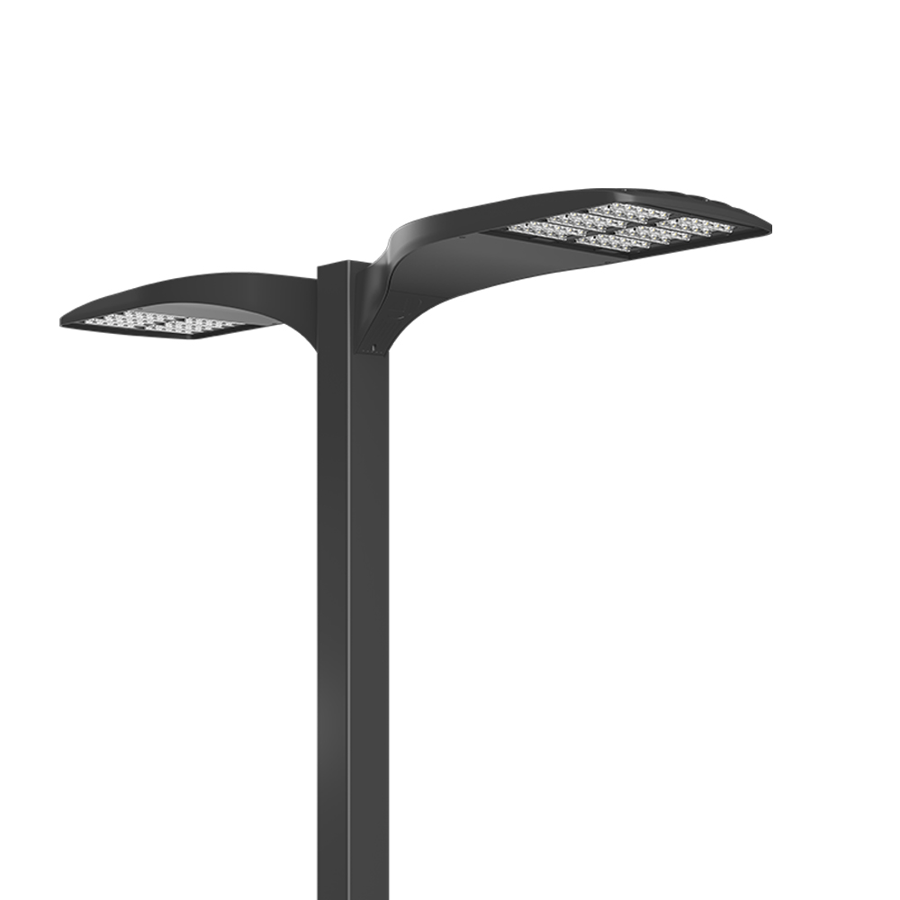 DSX1-image3