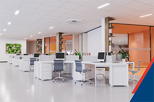 Commercial Indoor LL 300X200